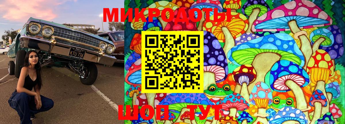 Галлюциногенные грибы GOLDEN TEACHER Аксай